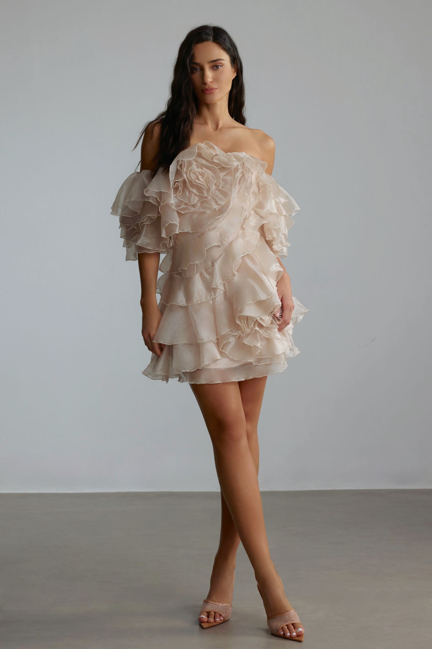 Estra Off-Shoulder Floral Tulle Mini Dress